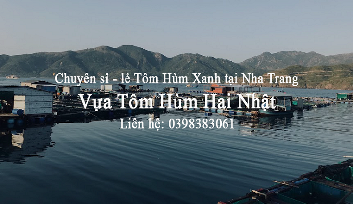 Tôm hùm Nha Trang 